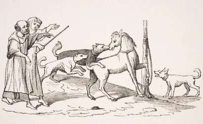 Fight between horse and dogs